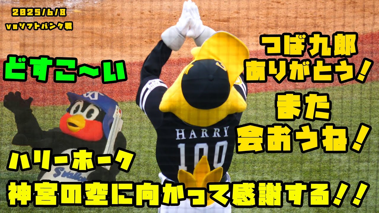 ハリーホーク　神宮の空に向かって感謝！きっとまた会える日まで！！　2025/6/8 vsソフトバンク