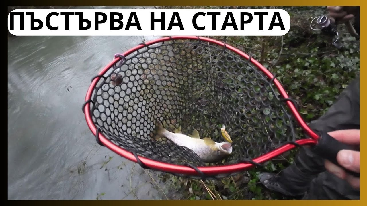 ПЪСТЪРВА НА СТАРТА
