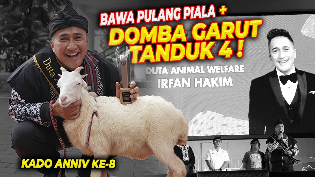 HADIAH ANNIV 8 | TIBA-TIBA JADI DUTA ANIMAL WELFARE !! PULANGNYA BAWA DOMBA !!