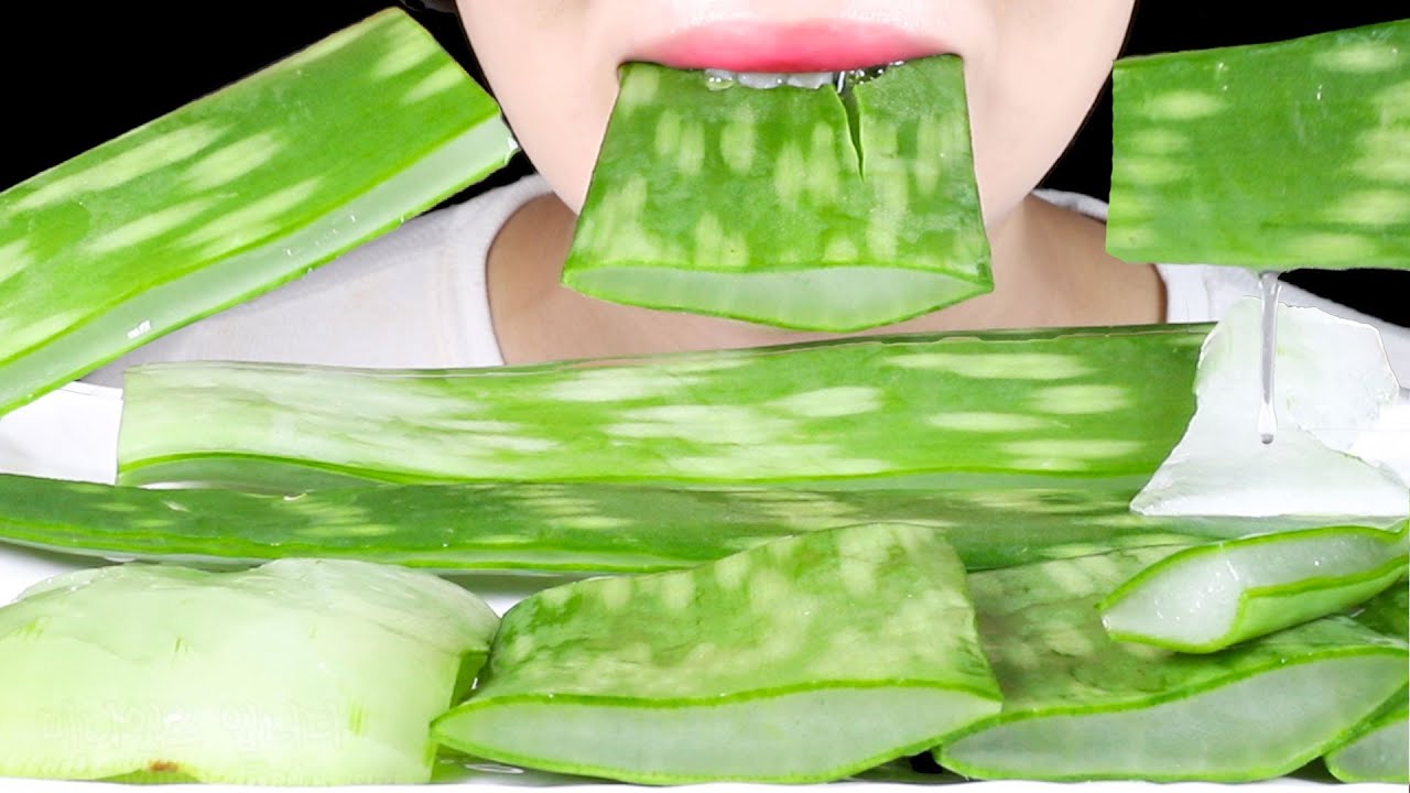 ASMR Edible Aloe Saponaria | Soap Aloe | Eating Sounds Mukbang