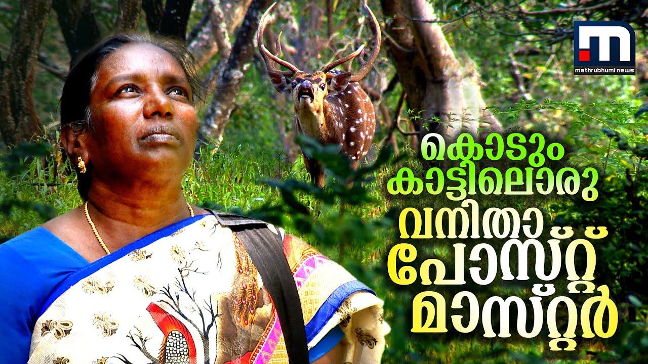 ഫാത്തിമാ റാണിയെന്ന സിംഗപ്പെണ്ണ്..കടുവാ സങ്കേതത്തിനുള്ളിലെ പോസ്റ്റ് മാസ്റ്ററെ കാണാം| Womens Day