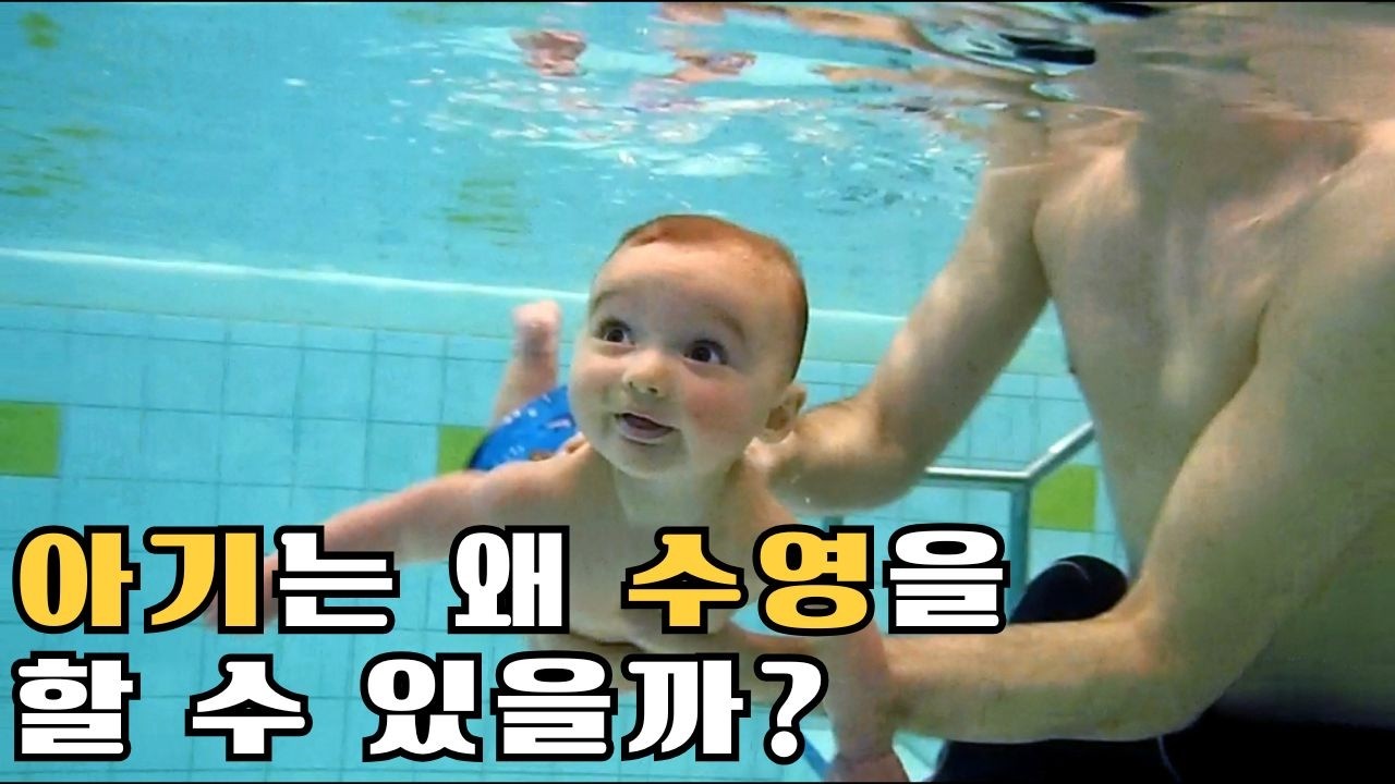 아기가 태어나자마자 수영할 수 있는 이유. 그리고 인간이 수생동물이었다는 과학적 증거 | 뜻밖의 과학