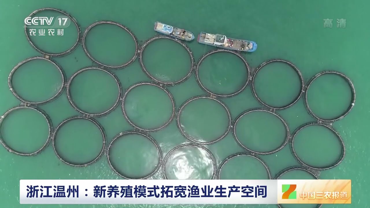 [中国三农报道]浙江温州：新养殖模式拓宽渔业生产空间|农业致富经 Agriculture And Farming