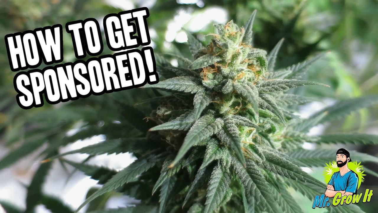 SPONSORSHIPS IN THE CANNABIS INDUSTRY! - UNFILTERED EPISODE 1