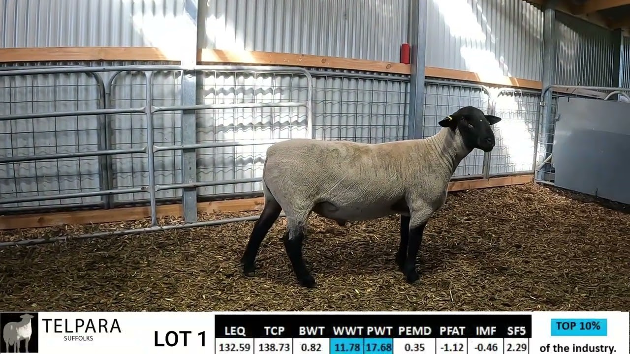 Lot 1 210010 Telpara Sale 2022