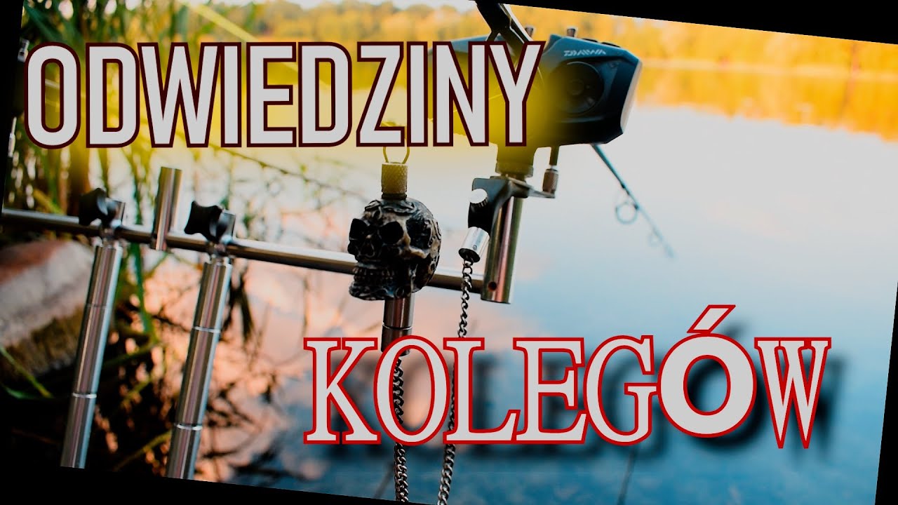 Odwiedziny koleg&oacute;w na zasiadce.