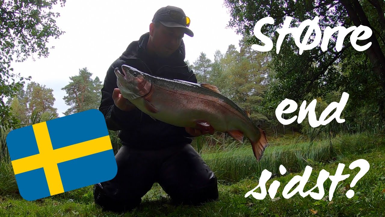 Berget Sportfiske: Fætterfluen i aktion
