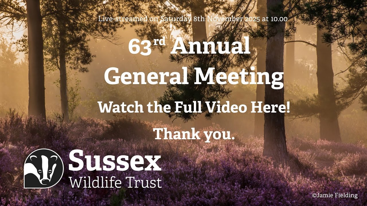 Sussex Wildlife Trust's 63rd Annual General Meeting