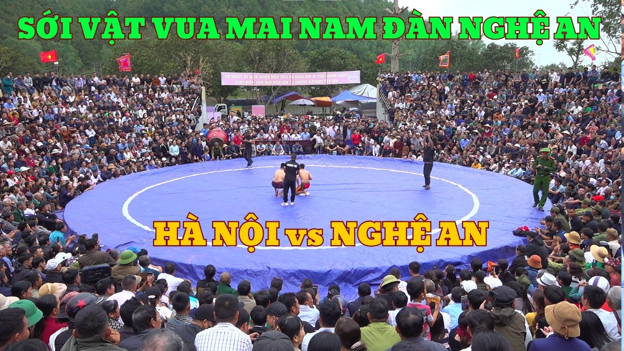 HÀ NỘI vs NGHỆ AN tại sới vật đền VUA MAI NAM ĐÀN NGHỆ AN 2026 Traditional Vietnamese Men'sWrestling