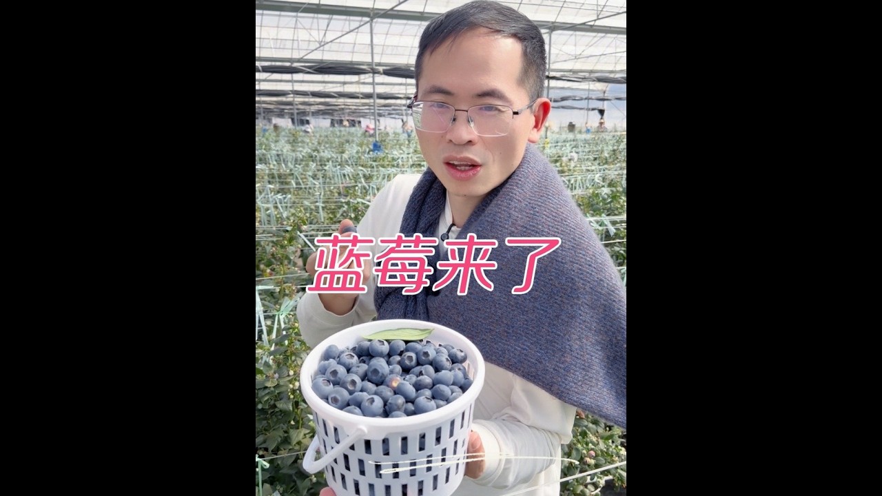 湖南的朋友都回家过年了吗，年货苹果和蓝莓给大家准备好了W