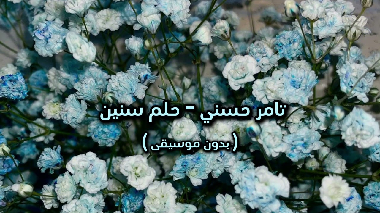 تامر حسني - حلم سنين ( بدون موسيقى )