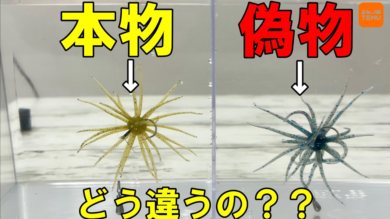 【徹底比較】中華コイケはどんなもん？【検証】【TEMU釣具Vol.1】