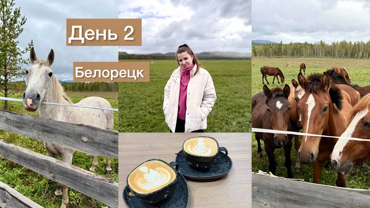 День 2: Белорецк, купила пряжу, закупка продуктов на неделю 🛍️ разбудили лошадь 🙈