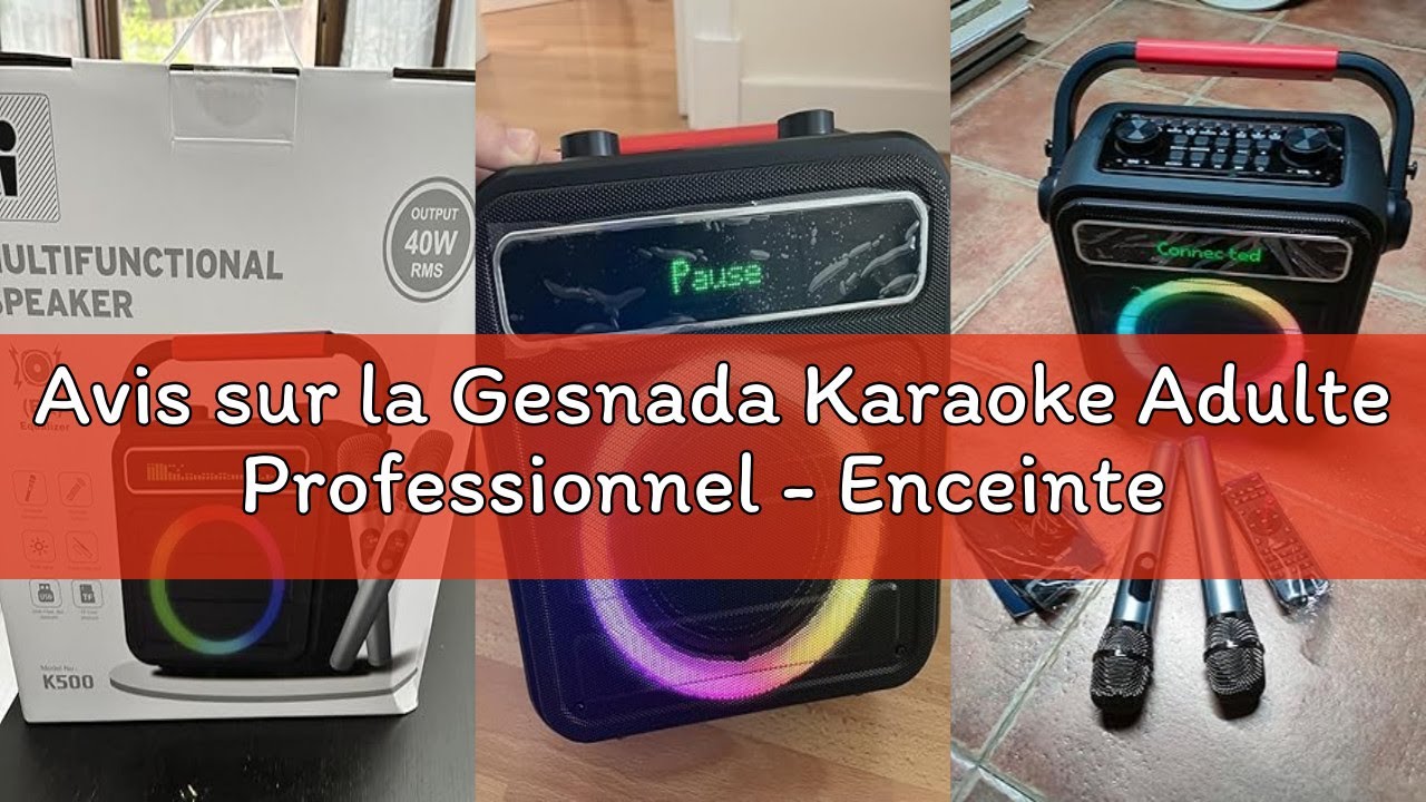 Avis sur la Gesnada Karaoke Adulte Professionnel - Enceinte Bluetooth Puissante avec 2 Micros sans F