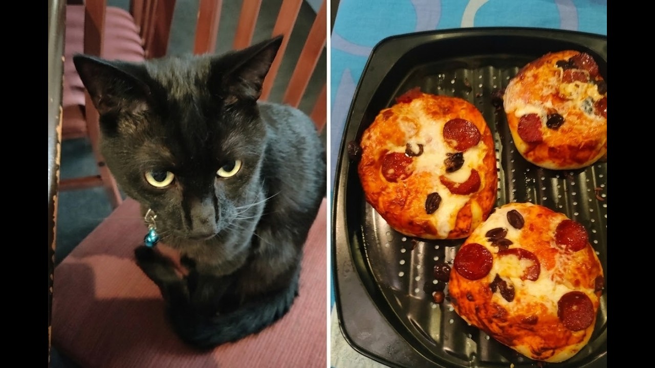 Making a Cheesy Meat Bun Pocket with Elvis 🐱