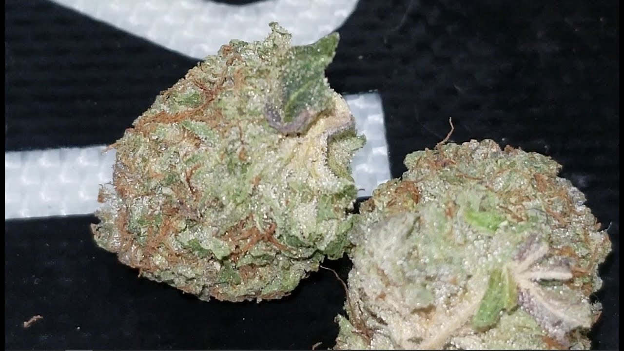 PINK KUSH STRAIN REVIEW!!!! BUYBCBUD EP. 5 - HANSOLO TOKER