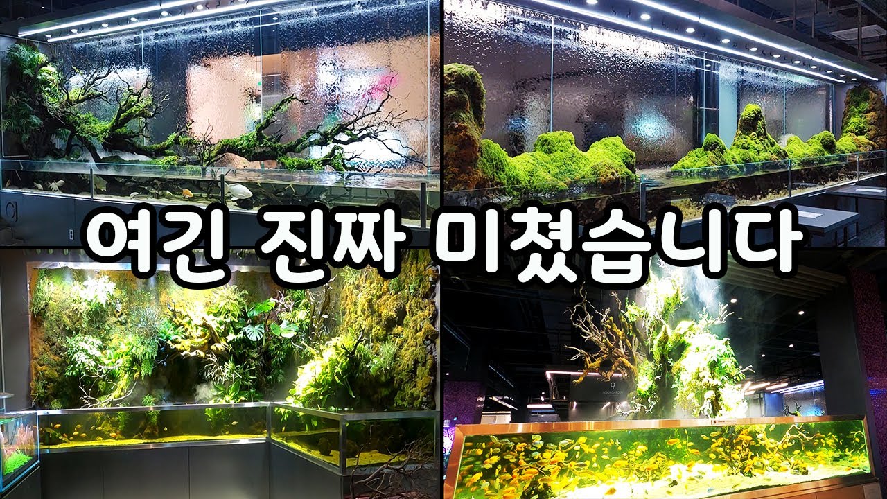 취미로 들인 어항 하나가 50억 수족관으로? 미친 퀄리티 수족관 카페 [오브리더]