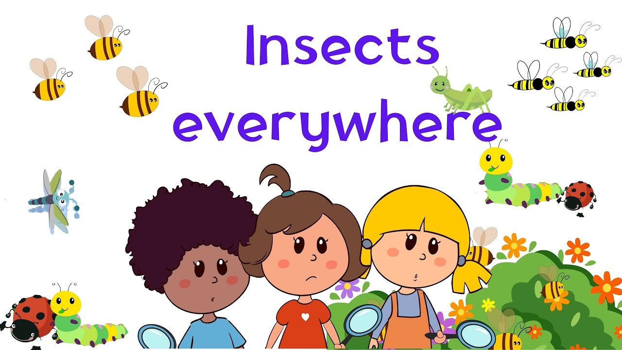 Learn About Insects with Petal & Friends 🐜🌸