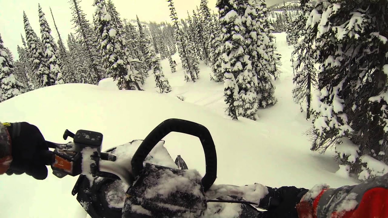 Tony Ryan - Seeley Lake
