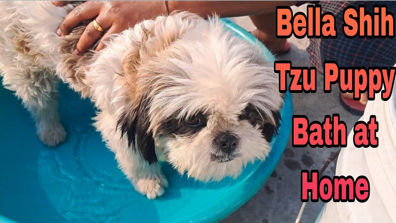 Bella Ko ठंडी Me नेहला Diya 😍
