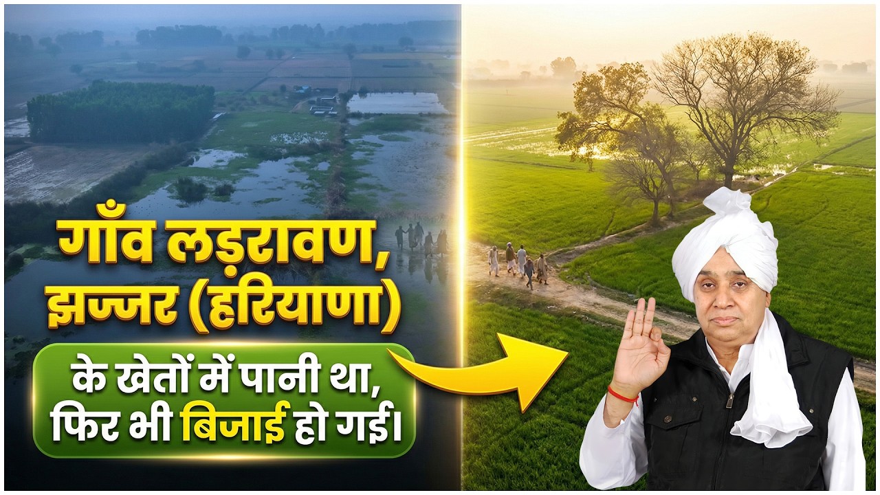 गाँव लडरावण, झज्जर (हरियाणा) के खेतों में पानी था, फिर भी बिजाई हो गई… कैसे संभव? SA News Channel