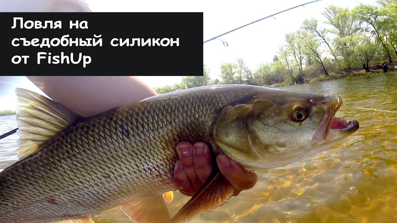 Ловля на Съедобный силикон. FishUp Fishing. Часть 1.