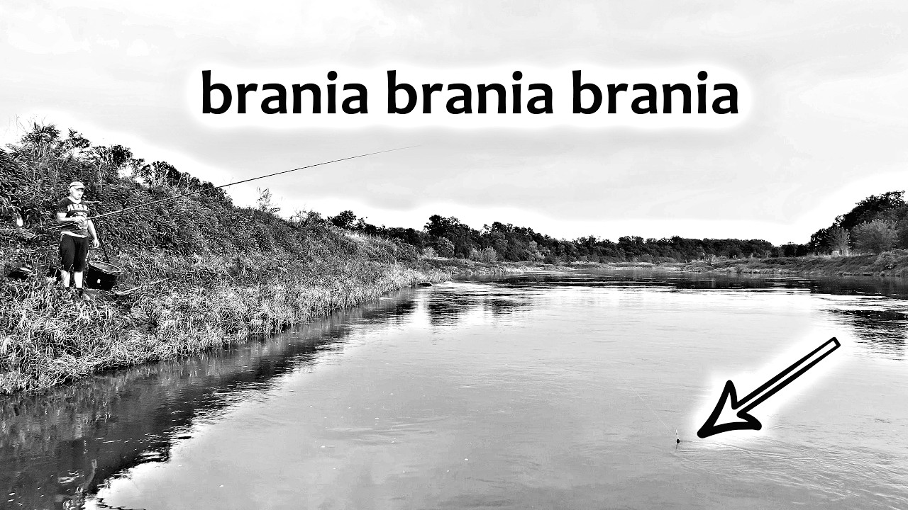 Brania na żywo. Tak to wygląda nad rzeką. Bolonka