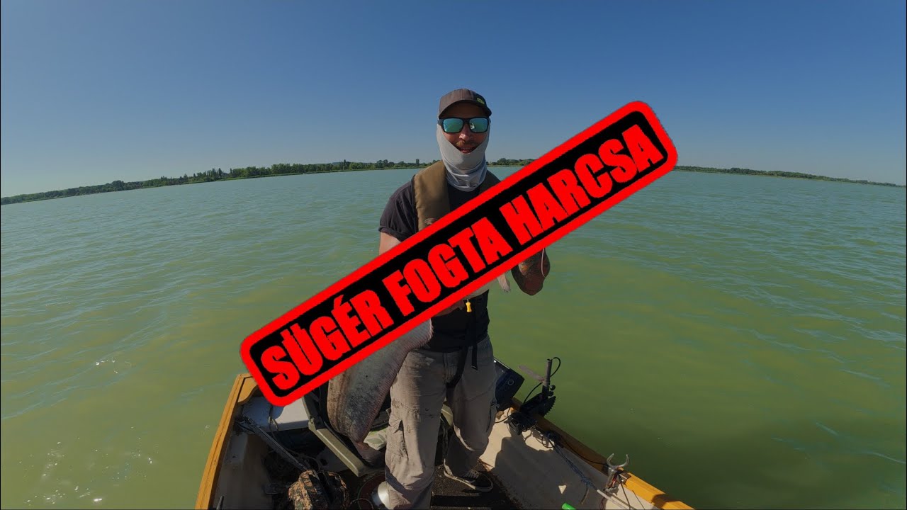 EGY FORRÓ NAP A BALATONON - NÉGY HALFAJ IS BEKÖSZÖNT 