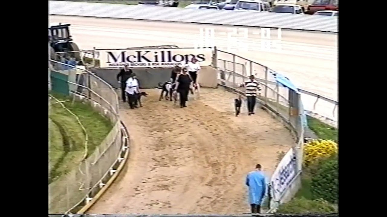 2001 Devonport Cup | Black Caleb (3)