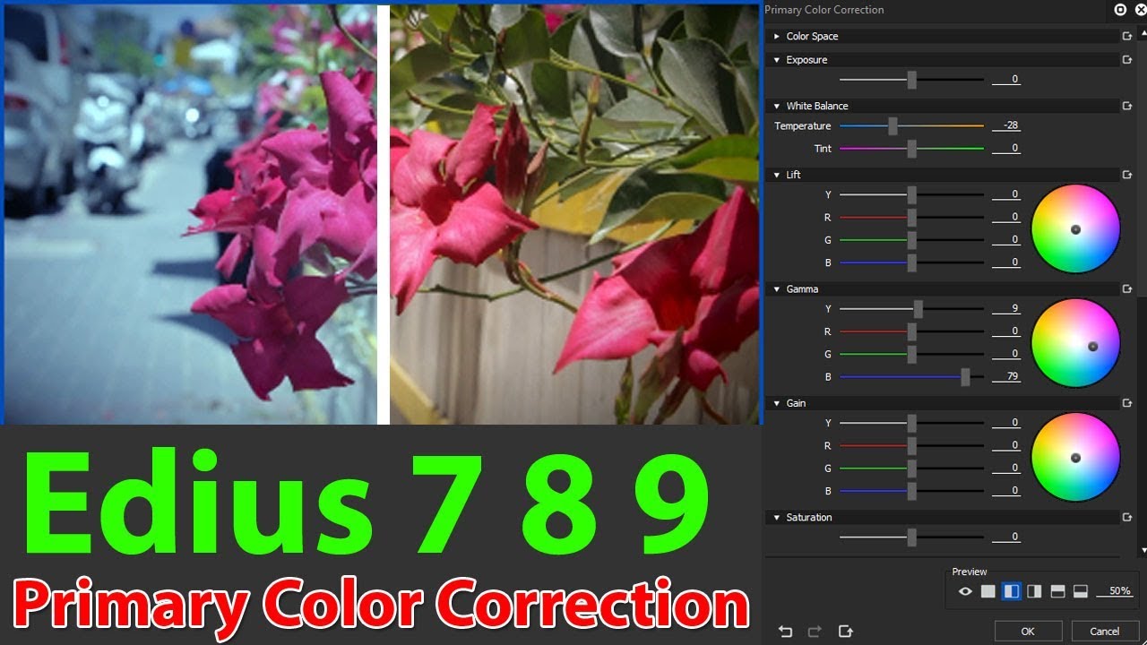 Edius 7 8 9 Primary Color Correction,By Bandhan Studio