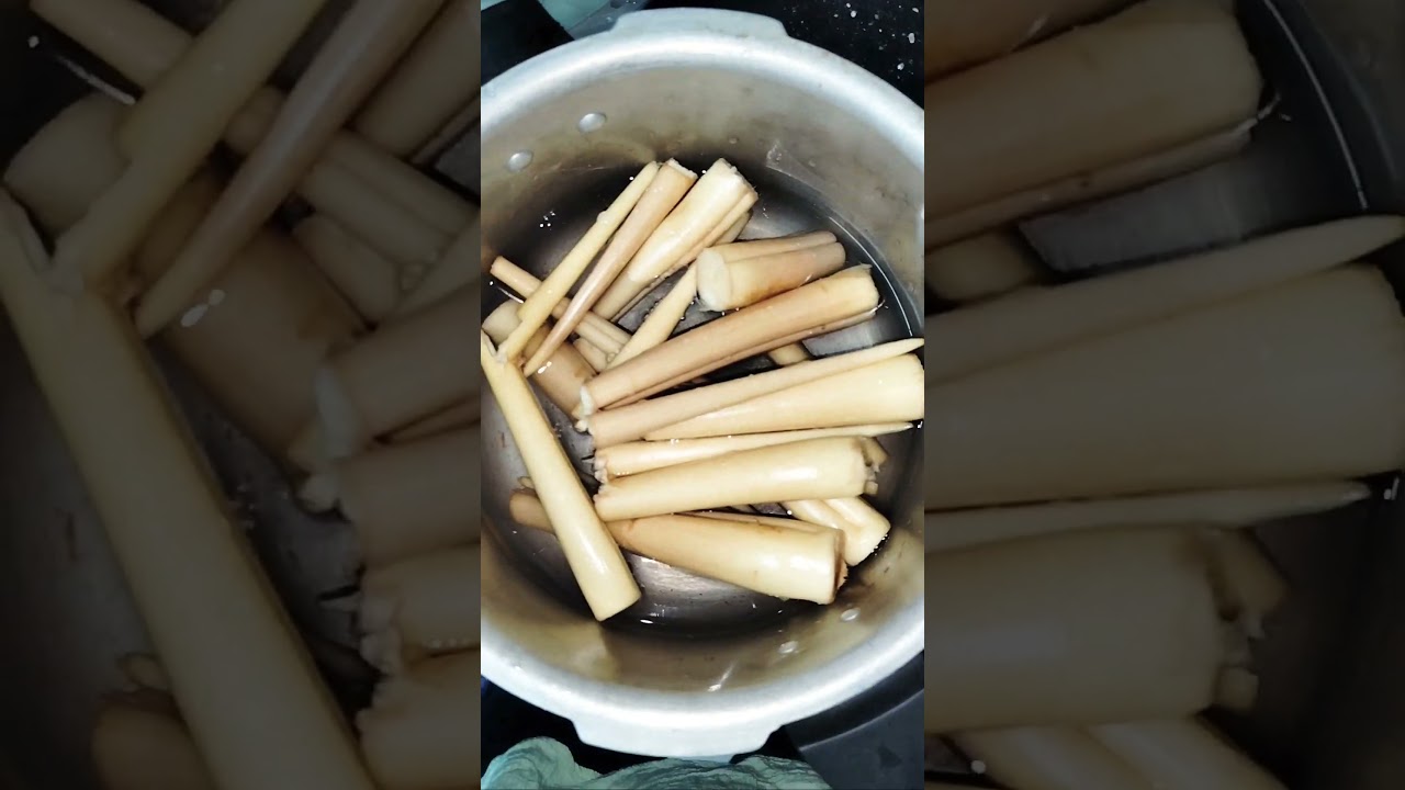 Thati Theegalu|Palm root|Rich in fiber|very nutritious|Palmyra Sprout|