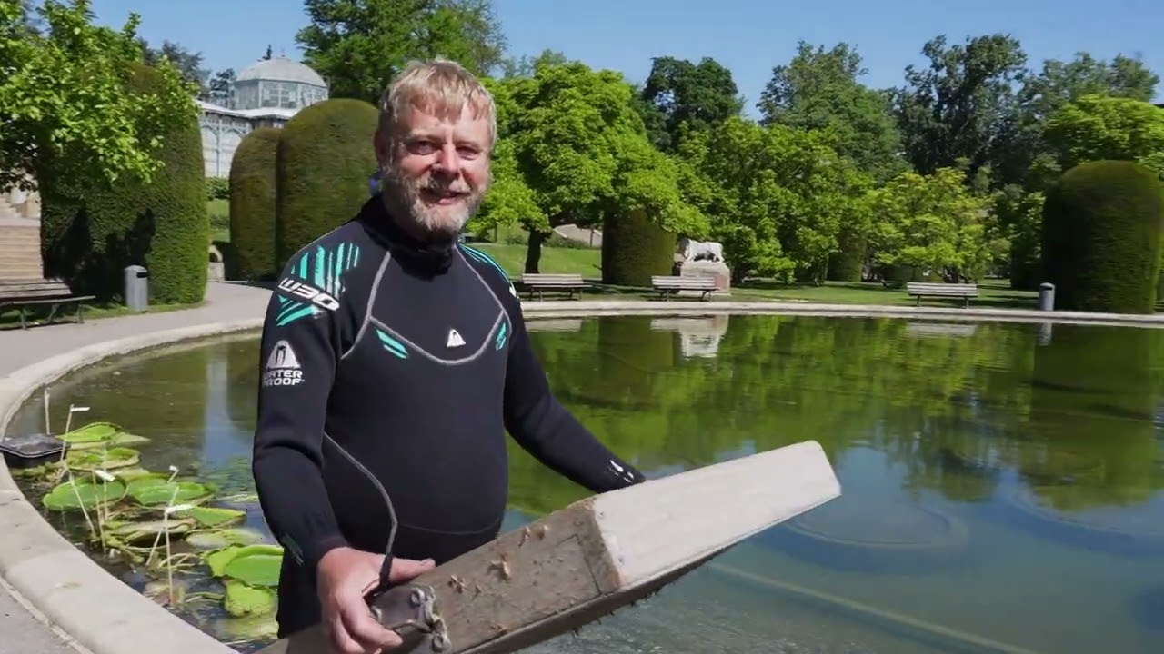 Tropische Seerosen für den Maurischen Garten – Achim pflanzt im Neoprenanzug!