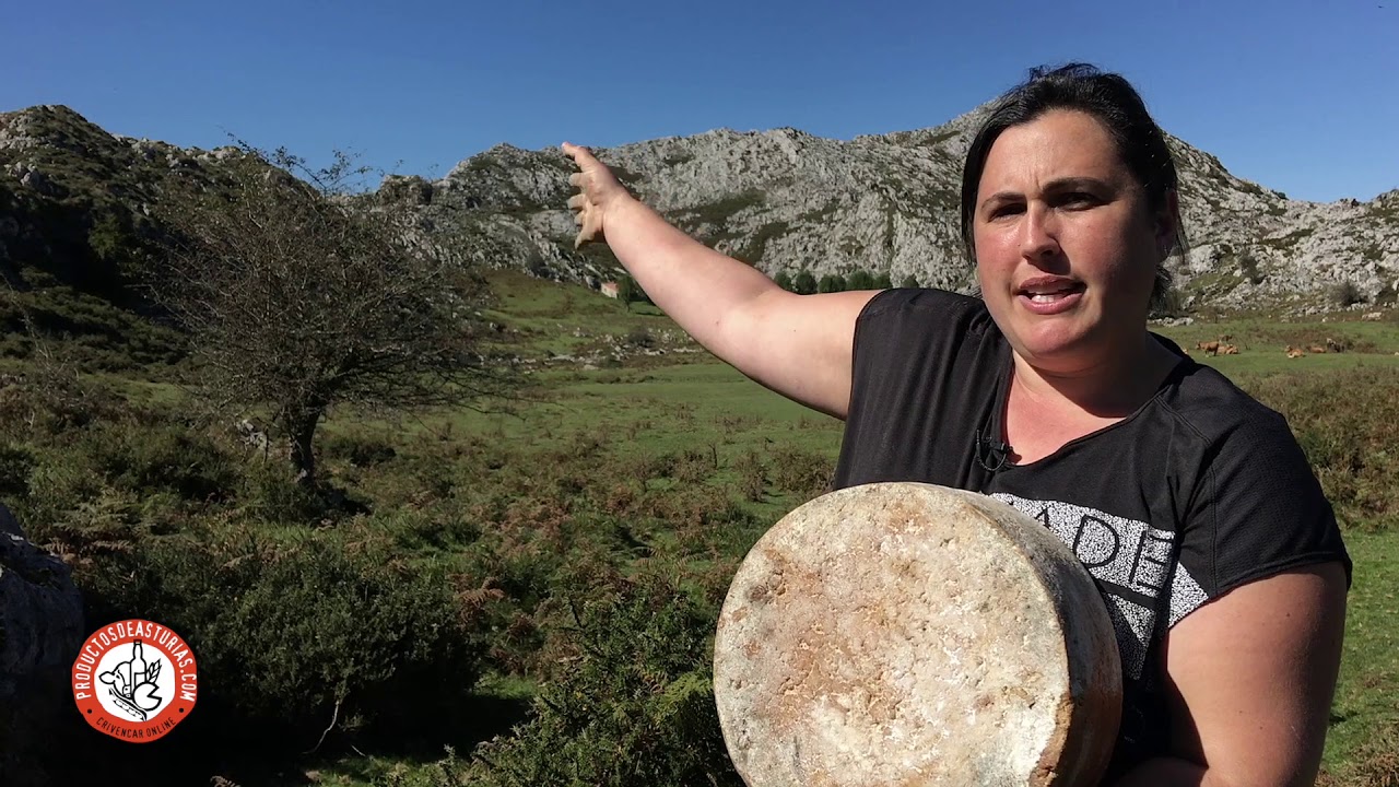 La producción del queso Gamoneu