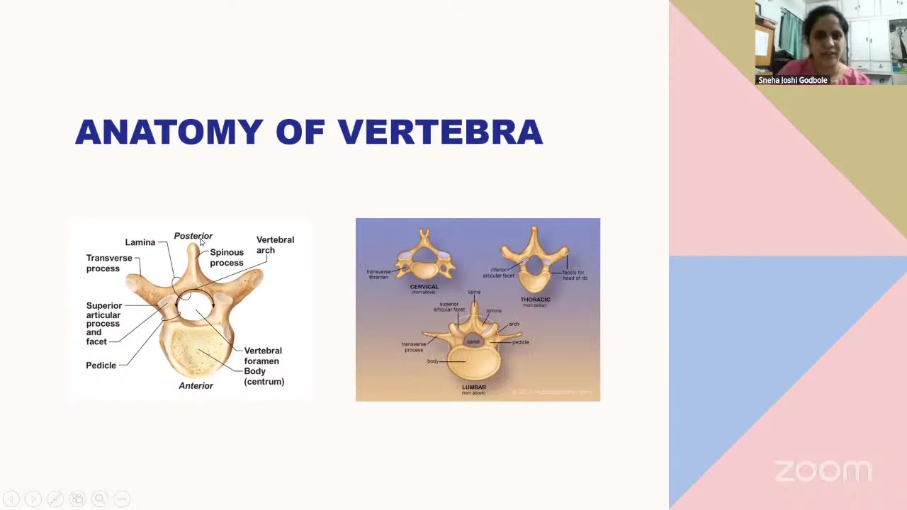 Anaesthesia Considerations for Spine Surgery