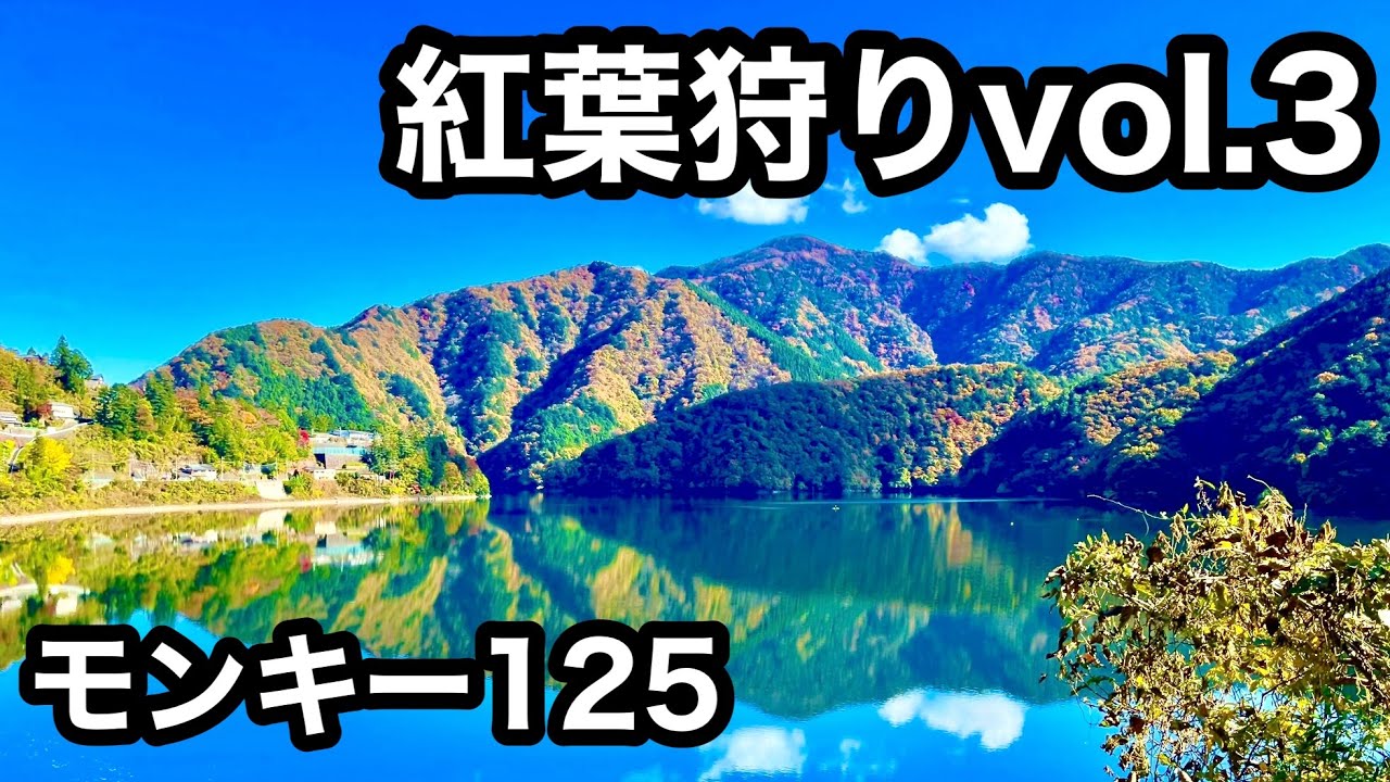 【ホンダモンキー 125】むかしみちへ