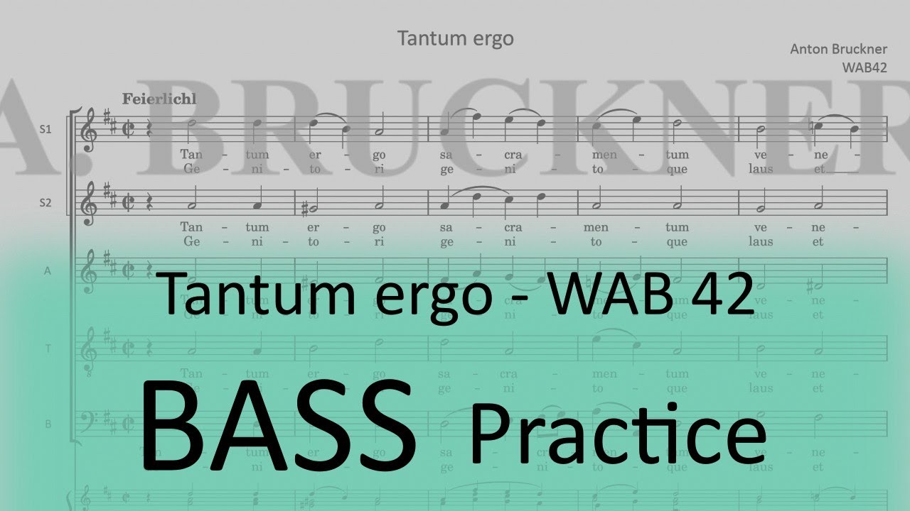 Bruckner WAB 42 (Tantum ergo) - Bass practice