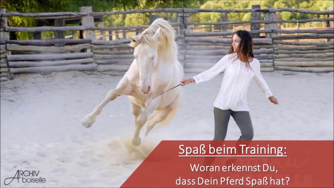 Hat mein Pferd Spaß mit mir? Wie begeisterst du Dein Pferd für Lust auf mehr?