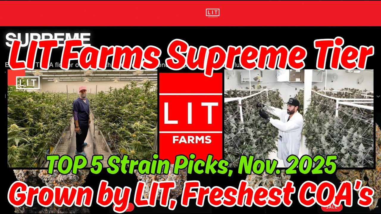 LIT Farms 5 Best Strain Picks  (Nov. '25)- Grown by LIT, Freshest COA Dates (Supreme Tier)