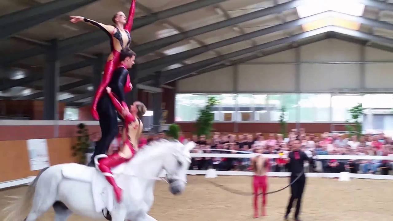 Weser Ems Meisterschaft (WEM) in Lohne 2016 - Kür Team Oldenburg 1 (Samstag)