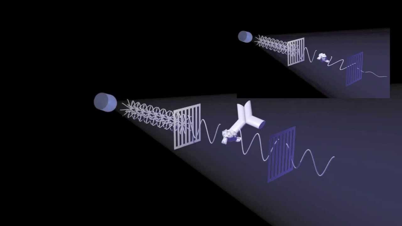Fluorescence Polarization