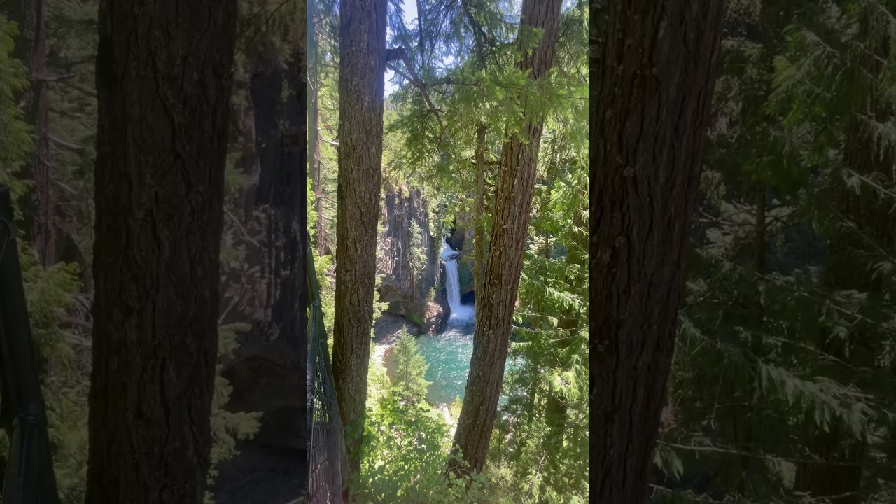A must stop in central Oregon #toketeefalls #pnw #travel #oregon #westcoast #babytravel #dgreality