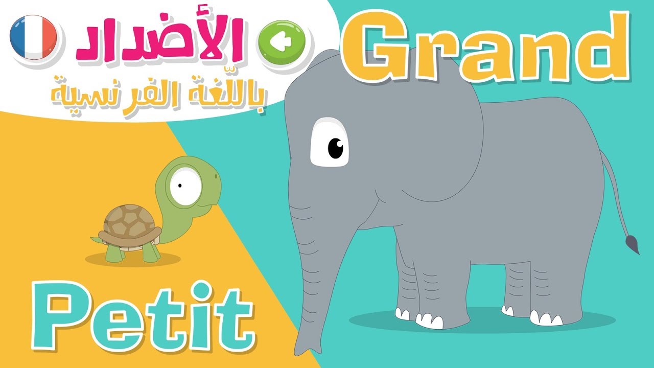 الأضداد بالفرنسية للأطفال – تعليم المفردات و عكسها باللغة الفرنسية – تعلم الكلمات الفرنسية مع زكريا