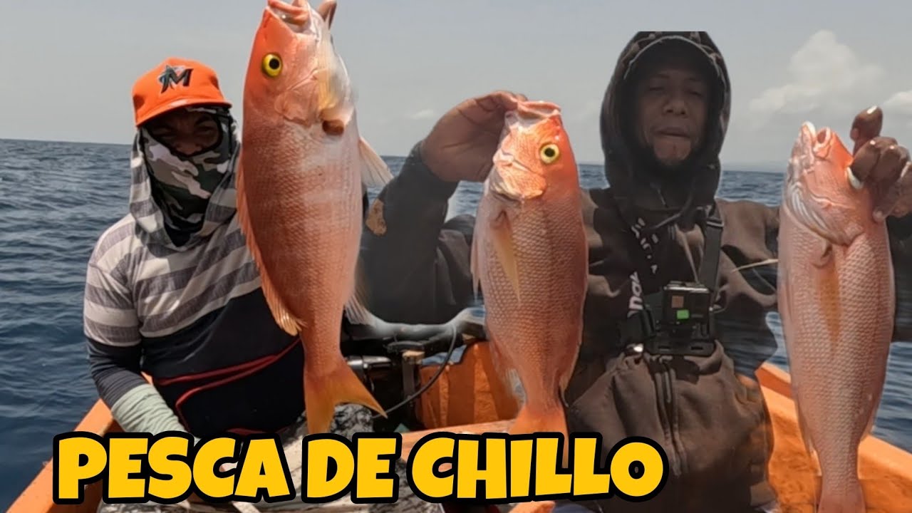 ASI FUE MI PRIMERA PESCA DE CHILLO // APESAR DE QUE NO CAPTURE MUCHO PERO ME GUSTO MUCHO