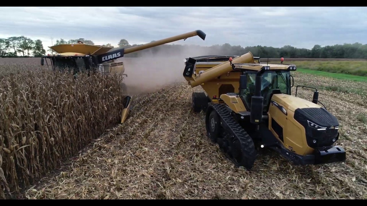 McGuire AG Fall Harvest - Lexion combines with CAT challengers and J&M Grain Carts. all on tracks.