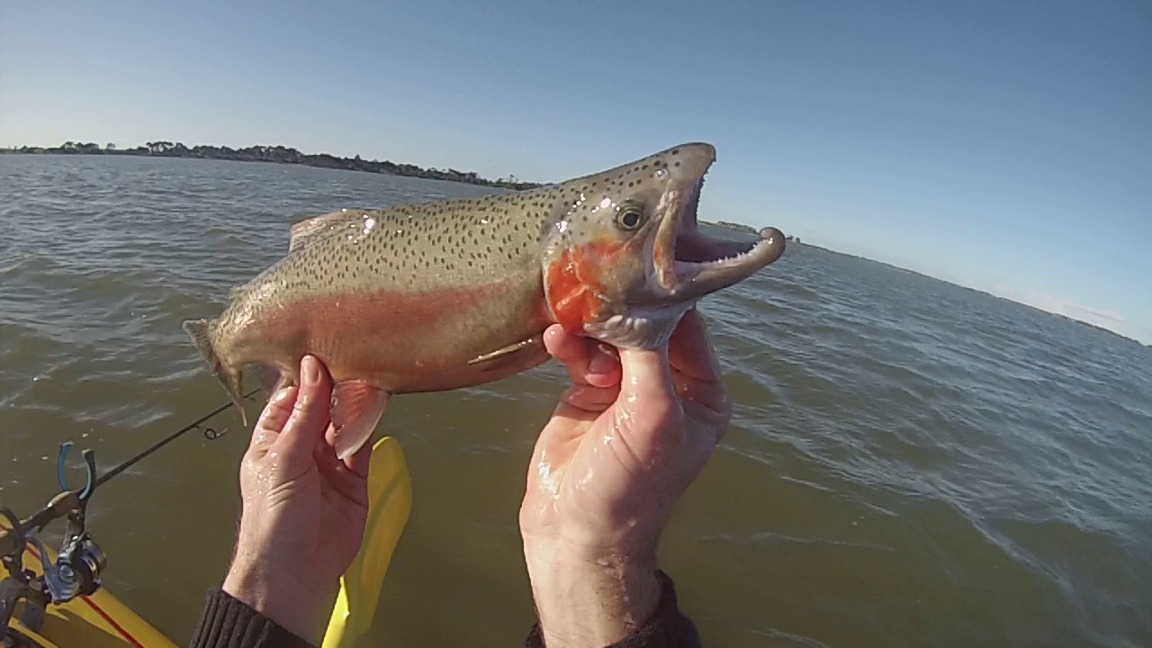 Lake Bolac rainbow July 2017 (2)