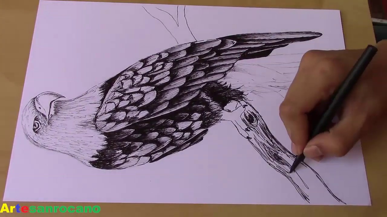 Reto dibujar solo con marcador; dibujando una &aacute;guila con marcador, drawing an eagle with marker