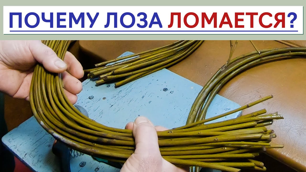 ПОЧЕМУ ЛОЗА ЛОМАЕТСЯ? #лозоплетение