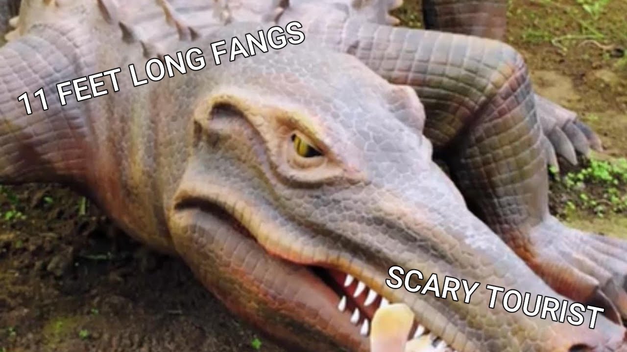 Revisiting The Most Horrible Paleontology Video On YouTube