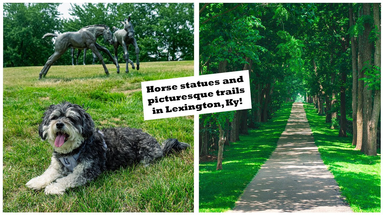 Our first day in LEXINGTON KENTUCKY! Arboretum views, Walking Trails, and THOROUGHBRED PARK!