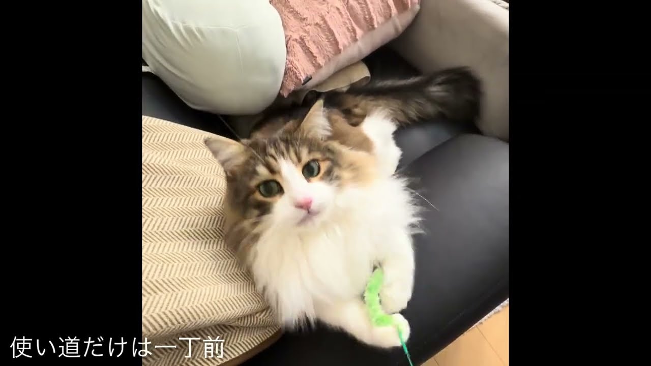 へそくりの使い道